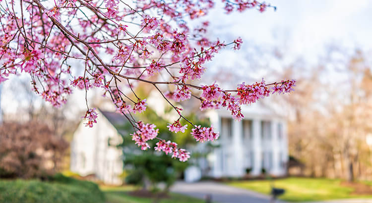 This Spring Presents Sellers with a Golden Opportunity inception-app-prod/OGU0MjQ4NjMtYzFmNC00NzQyLTljZmUtZjc3Y2YwZGJmNmFi/content/2022/03/7f53bb48d8b81f8fe4492a3484c3f676e3be131e.jpg