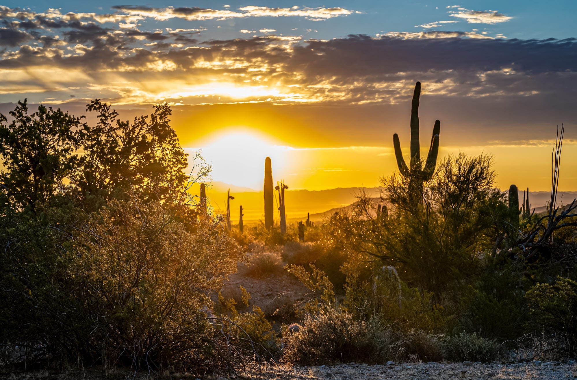 San Tan Valley inception-app-prod/OGUwMTI1YTQtN2UxNS00ZmU0LThiZWYtMTlhZmVlYjgzMWYx/content/2025/03/57b25a8cd3ca1c66d5f38be8e15f5bae67f24cd7.jpg