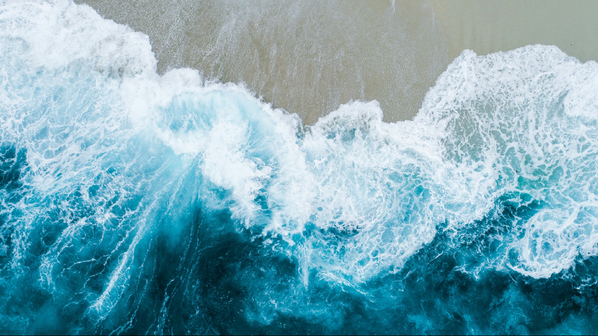 Venice inception-app-prod/OGUwNGQ2ODUtMWQ1NC00YmFjLWJhOTItMTg3OTEyZmZkODYw/content/2024/09/58ce66874faa7946c1301ad62497939205a18e9d.jpg