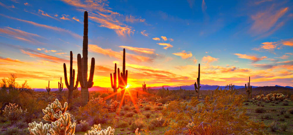 2026 Housing Market Outlook: What To Expect in the Phoenix Metro inception-app-prod/OTBjMDMxZGItYzk1Yi00ODIxLTgxOTctNTY4YWRmNWU5MGY4/content/2025/10/a664e55a8453f1a8adbb812f4752e31e8b82e837.jpg