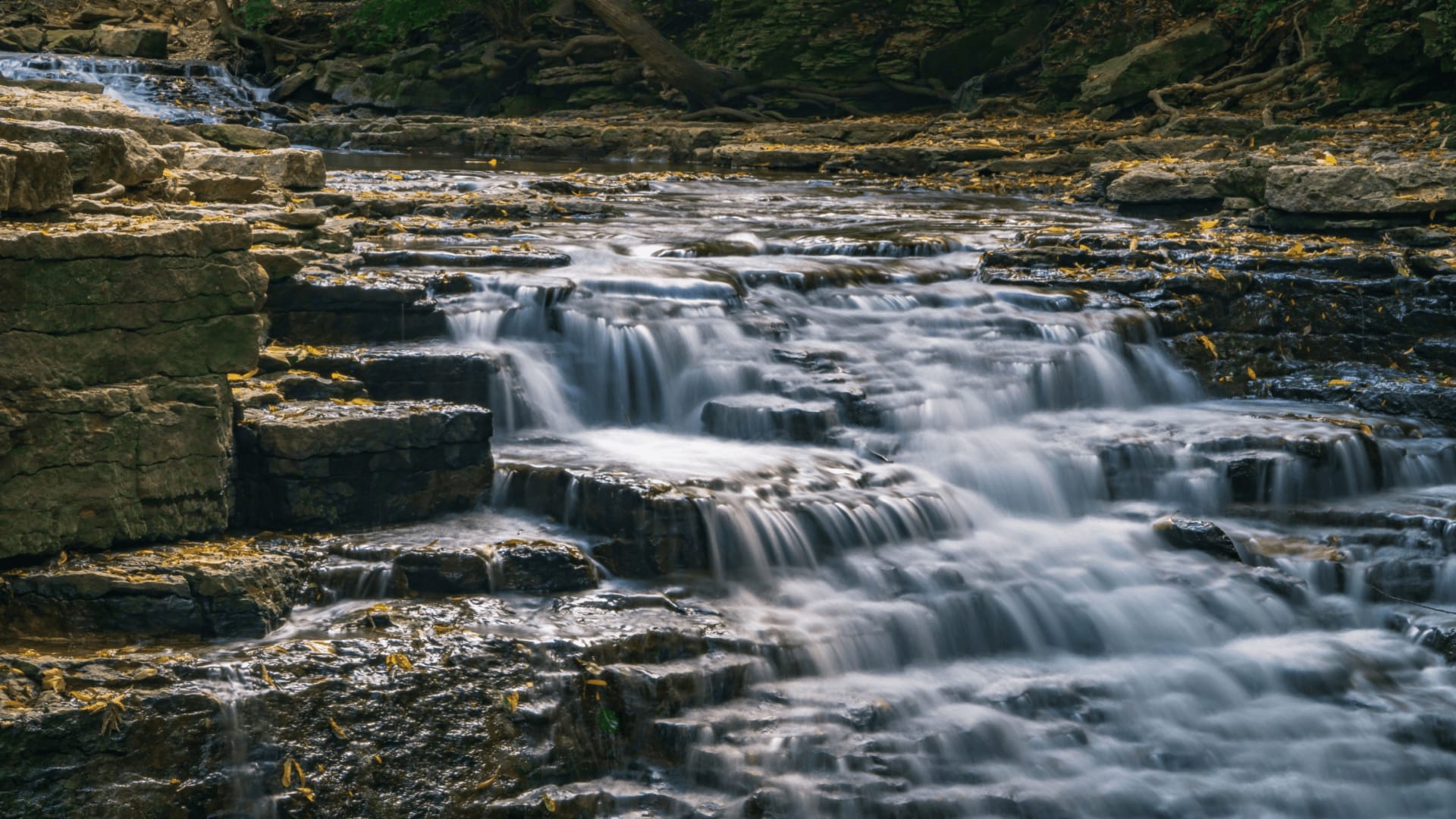 Dublin inception-app-prod/OTFjZmMxMDMtZjk2Yi00NzJiLWFkZDItNDNhYWM1NWFhNzA0/content/2023/01/d32c8349866847fd9f8436d8a4b0ca2eb9b46fbb.png