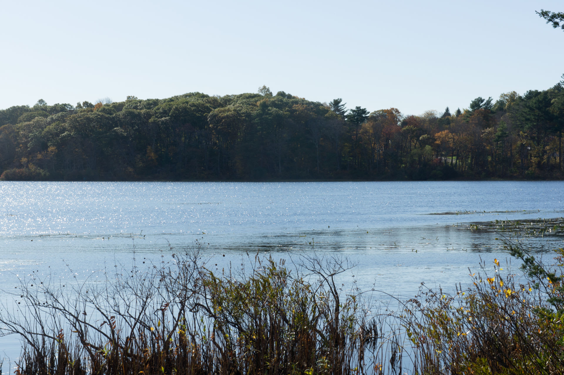 Canton inception-app-prod/OTRiMzJjMzAtZjA5ZC00ODRkLWI0ZTktYWZkZDkwNTQ3ODll/content/2021/08/shutterstock_745719892.jpg