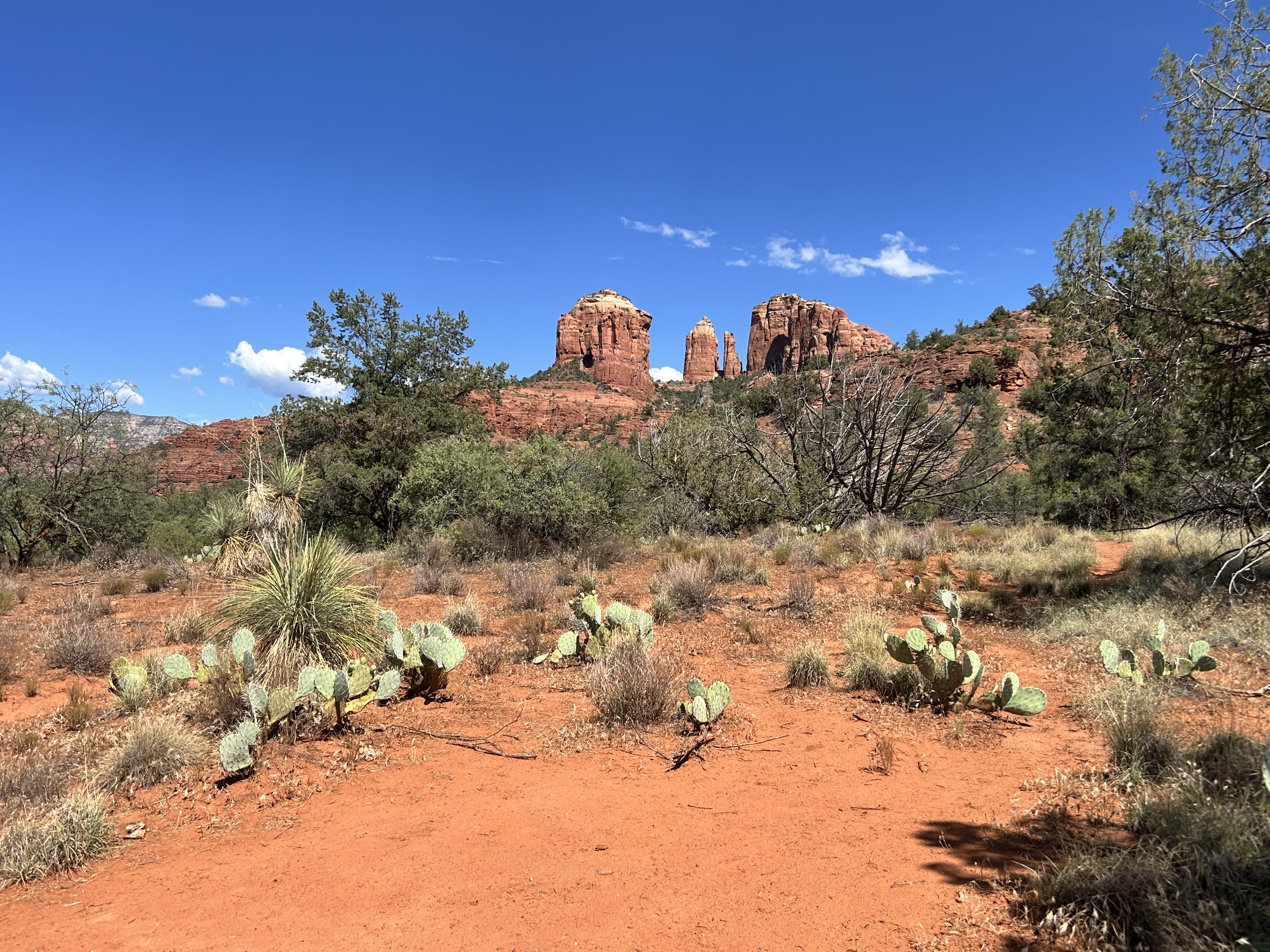 A Day Trip to Sedona: Hikes, Views & Food ! inception-app-prod/OTU0OWE0ZjUtNGExYy00YzlhLWI2NDctYTc0YmIxNTViZGQz/content/2025/07/a38305c1e3a9dcec794b56e8427cee72575803f2.jpg
