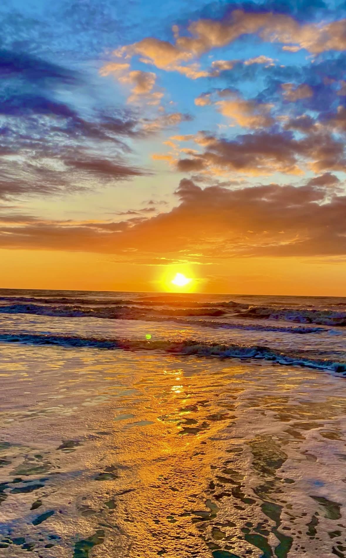 inception-app-prod/OTUyMjg2NTYtMGNmZC00NmE2LWIxYzAtMzBkMDk3ZjRjZmVi/content/2024/08/a2201930fe70c9934af17620491504fcdbee1f4e.PNG