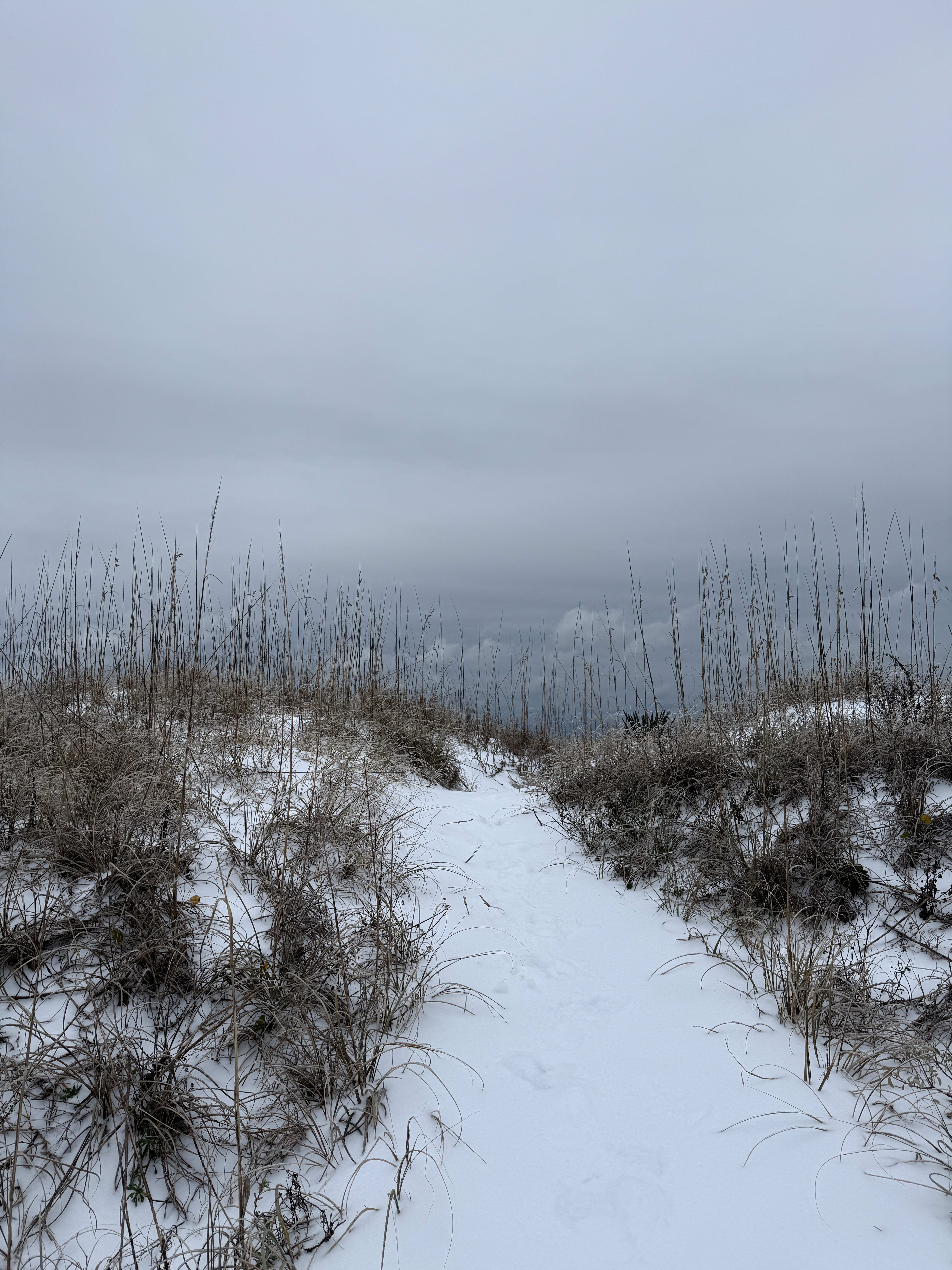 Hilton Head Island Experiences a Rare Snow Day: A Winter Wonderland by the Beach inception-app-prod/OTUyMjg2NTYtMGNmZC00NmE2LWIxYzAtMzBkMDk3ZjRjZmVi/content/2025/01/29e2aa63b1119f801ac517bb15d1a9564a0f9a27.jpeg