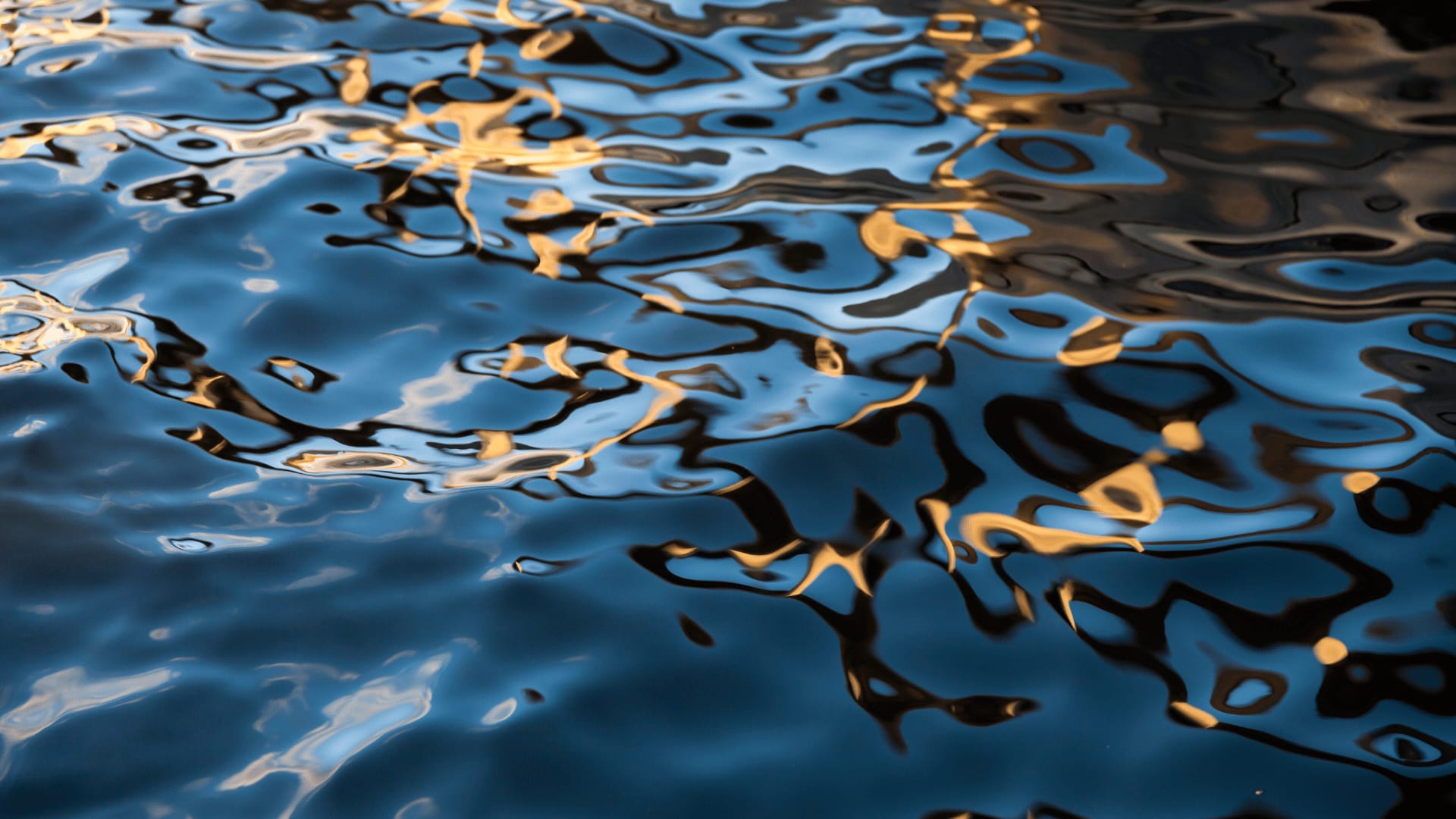 What Your Agent Should Do For You? inception-app-prod/OTVlOTU3MDUtNWU1NC00YmZiLThkZTItZDc5YjNhZWM5YzYz/content/2024/10/6f751445df24074a4d17c35719516ac5e8ce3bec.png