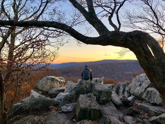 Explore the Beauty of Northern Virginia Parks inception-app-prod/OTVmODYxZWQtNTQ0Mi00Zjg0LWFiMmMtMjQ3NDhhNjdlMDdi/content/2023/04/e5222be5d10657c3fd9df33f9a3582744e4d83c1.jpg