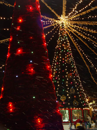 inception-app-prod/OTY0ODMxZjMtZDk1YS00MjM4LWEwNzItNzI3MThhZWYyNzJj/content/2016/11/Triangle Park.jpg