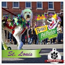 inception-app-prod/OTY0ODMxZjMtZDk1YS00MjM4LWEwNzItNzI3MThhZWYyNzJj/content/2017/02/Beggin Pet Parade.jpg