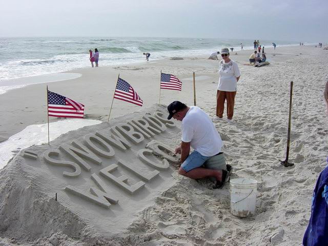 Snowbirds for Gulf Shores and Orange Beach inception-app-prod/OTg3NWIzOGQtOGU3YS00OTY2LTlkNzktZDZmMTNmN2NlMGNl/content/2016/11/snowbirds-2.jpg
