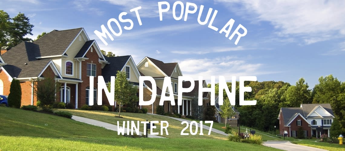 inception-app-prod/OTg3NWIzOGQtOGU3YS00OTY2LTlkNzktZDZmMTNmN2NlMGNl/content/2017/04/Most popular Daphne winter 2017-2.jpg