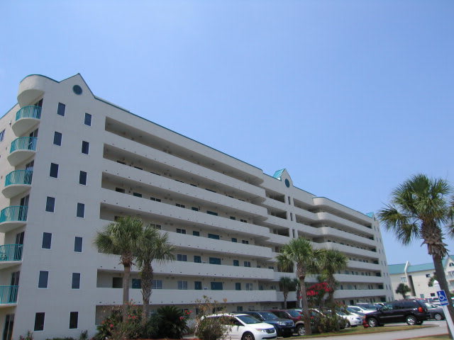 inception-app-prod/OTg3NWIzOGQtOGU3YS00OTY2LTlkNzktZDZmMTNmN2NlMGNl/content/2017/12/plantation palms-2.jpg