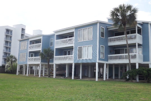 inception-app-prod/OTg3NWIzOGQtOGU3YS00OTY2LTlkNzktZDZmMTNmN2NlMGNl/content/2017/12/sea oats-2.jpg