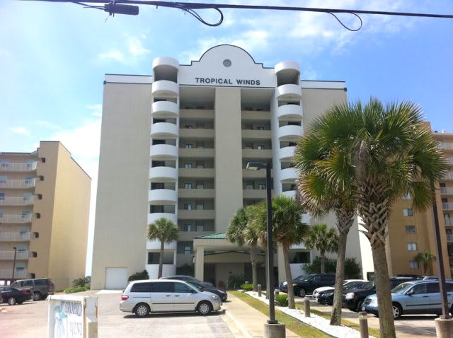 inception-app-prod/OTg3NWIzOGQtOGU3YS00OTY2LTlkNzktZDZmMTNmN2NlMGNl/content/2017/12/tropical winds-2.jpg