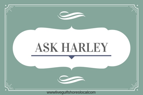 Ask Harley: Fear the Reaper inception-app-prod/OTg3NWIzOGQtOGU3YS00OTY2LTlkNzktZDZmMTNmN2NlMGNl/content/2018/03/Ask Harley-2.jpg