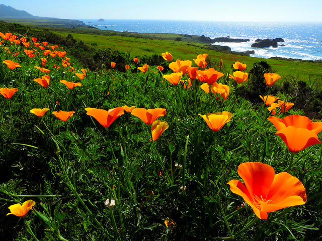 inception-app-prod/OWViMDYyMWItZjYwNy00MDQ4LThiNTQtZmQ3Mzc5MGY5YTdi/content/2019/04/Spring Home.jpg