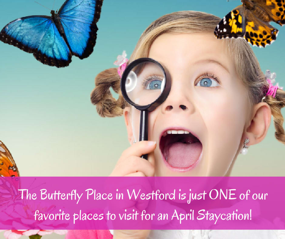 inception-app-prod/Y2E2MDRhMjctNjE0Yi00YTgwLWE0MzUtNDZiNGQ4ODRjMDNl/content/2018/04/April Staycation.png