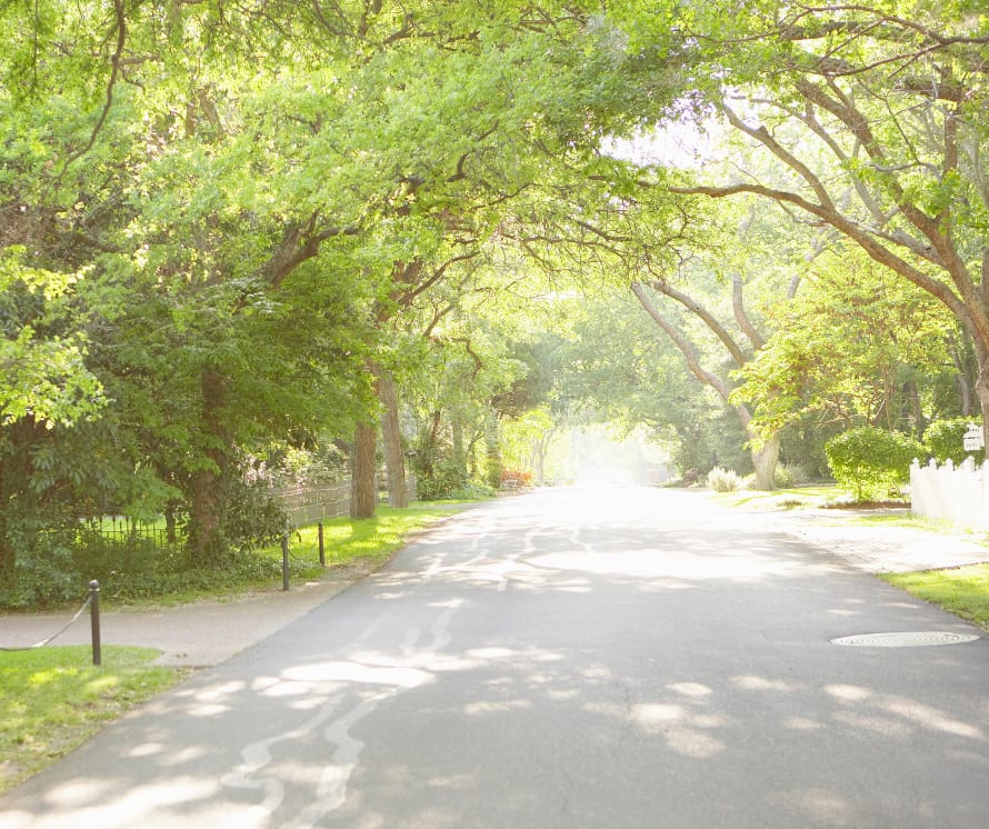 Denham Springs inception-app-prod/Y2E5MGJiYWUtZGNkNy00MjIxLTk4OTktZjM0NmQwY2IyZTQ0/content/2021/03/Untitleddesign4.png