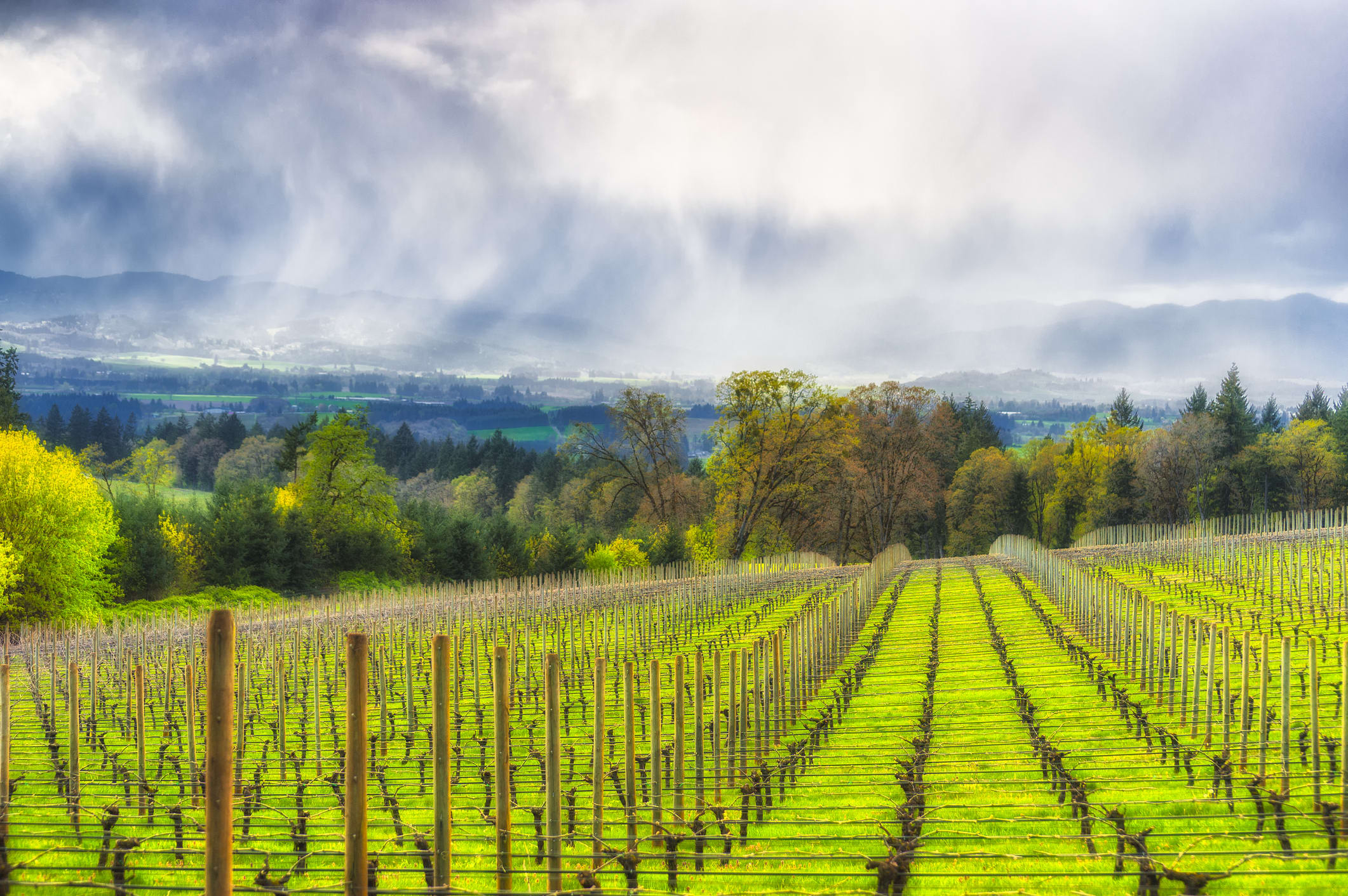 Yamhill County inception-app-prod/Y2FjZTYyMGMtODZhZi00ZDMxLWEwN2QtZDQ3MThmY2U3MTQ2/content/2024/04/18e2d3d8ebd70b5184c7a86944d6ad3919d7a73e.jpeg