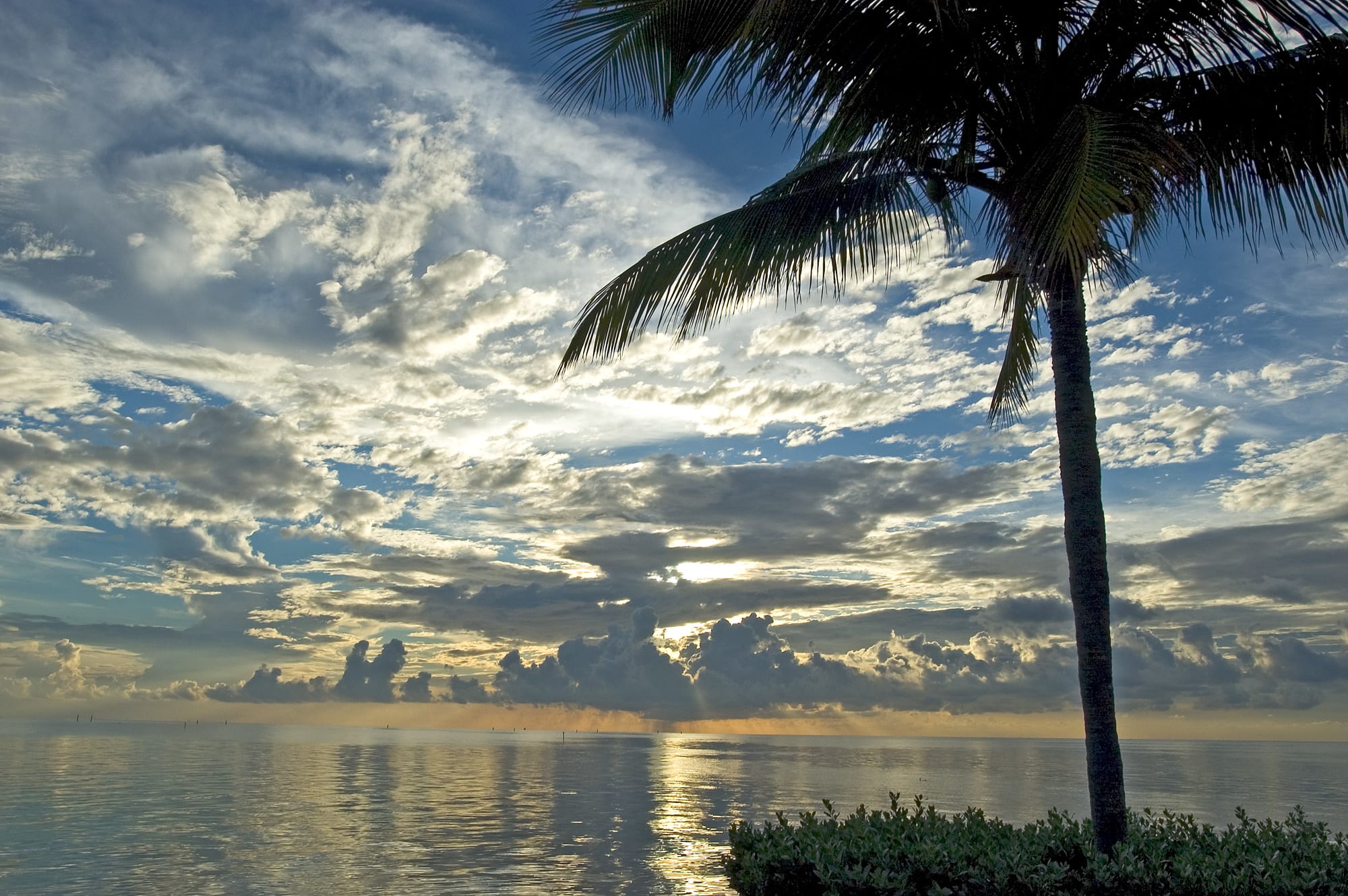 <p>Work with Us</p> inception-app-prod/Y2I0MTAyN2YtZDBmZS00MGE3LTk3MjgtMmY0NTYzY2RhOTY0/content/2023/03/a8b05be03cb4afd7ede052023cfde87f0416f715.jpg