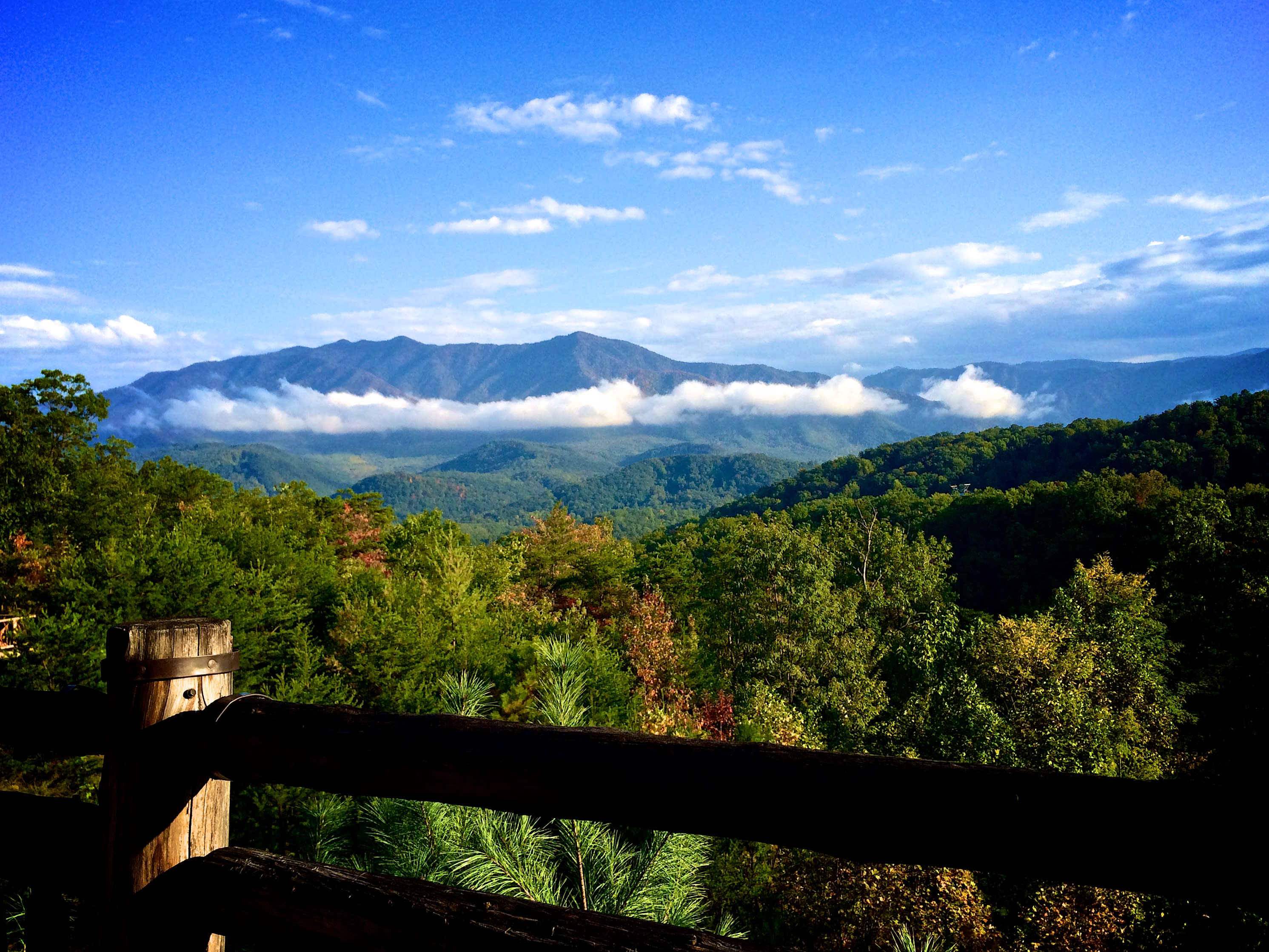 BLOUNT inception-app-prod/Y2I1ZTc2NDUtOTA1NS00MzQ0LTk3NDctZDk1ZDdlMmE2YWVh/content/2023/11/e58ef9c0ed731c3c133bd74b1bac594e91984268.jpg