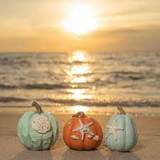 Seaside Scares and Island Thrills: Halloween on Anna Maria Island and Longboat Key - 2023 inception-app-prod/Y2MzYzM0NWUtMDdkZC00MTkwLTlhODQtZTJjZTc5ZTVkZDU5/content/2023/10/cf43d2c640e7af7ce2a55c82b005390355cf03da.jpeg
