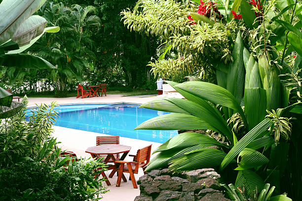 Transform Your Tropical Landscape: Tips for Anna Maria Island and Longboat Key Homeowners inception-app-prod/Y2MzYzM0NWUtMDdkZC00MTkwLTlhODQtZTJjZTc5ZTVkZDU5/content/2024/11/ae3432585c09ffeaa8cc0259deaebeefd69c921b.jpg