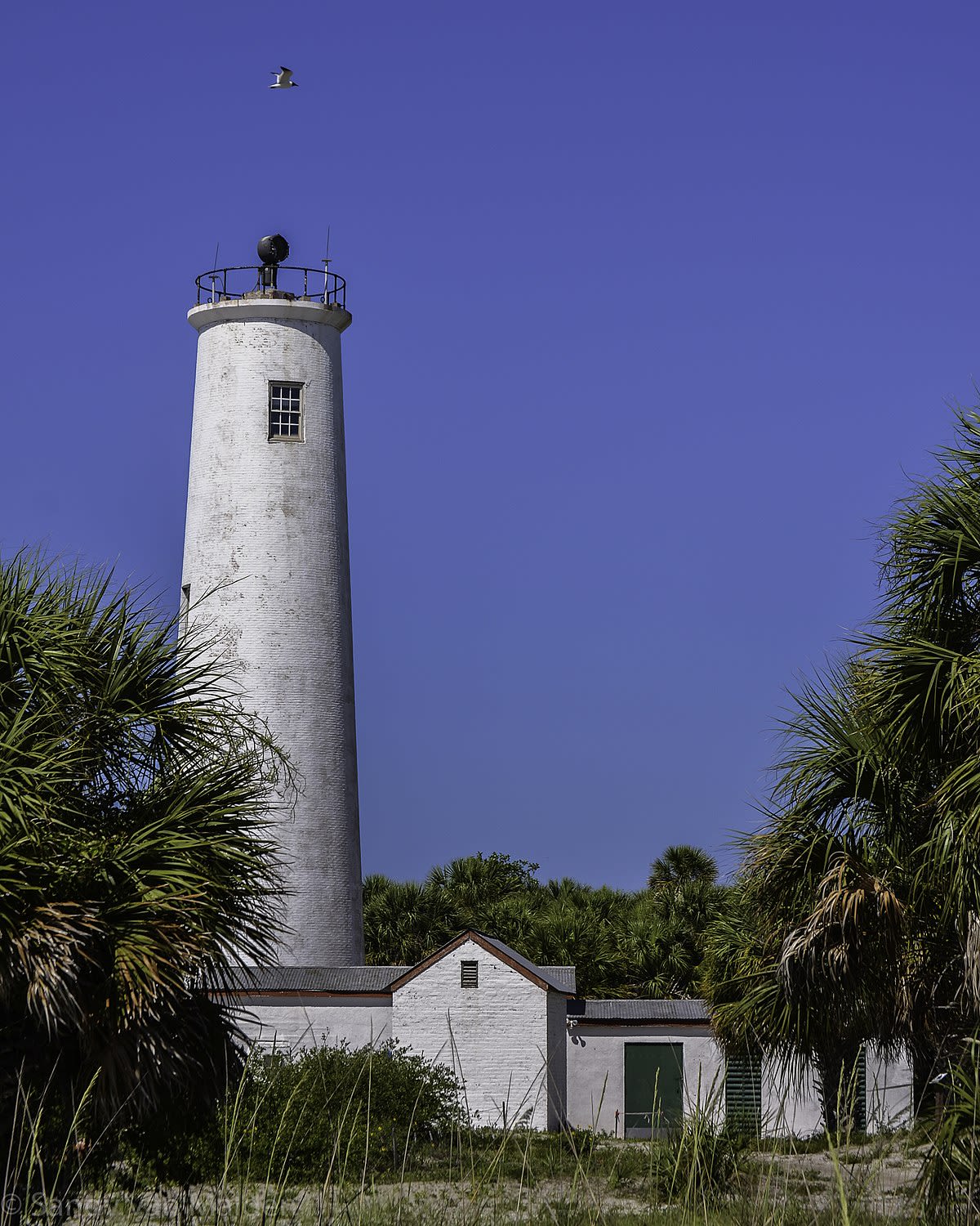 Fun Day Trips Near Anna Maria Island & Longboat Key inception-app-prod/Y2MzYzM0NWUtMDdkZC00MTkwLTlhODQtZTJjZTc5ZTVkZDU5/content/2025/08/3d23ee3e651f8d66f3bbde0c8cca7dbcb0ed0bbc.jpg