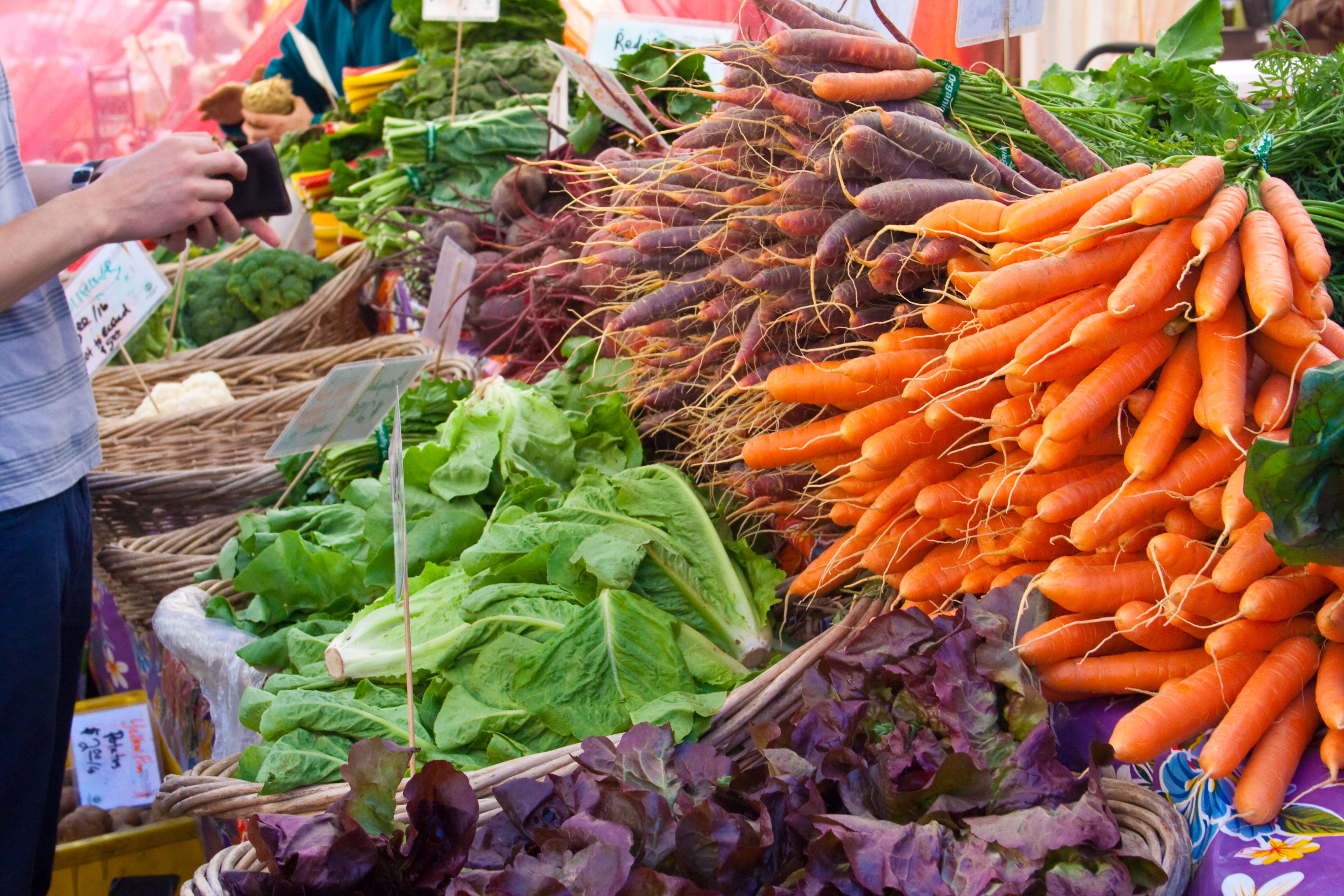 5 Best Valley Farmer's Markets! inception-app-prod/Y2NkMjgxYzQtMWMwNy00N2NjLWI2YWYtZTZiMzk5MzY3YWRk/content/2021/02/shutterstock45686389.jpg