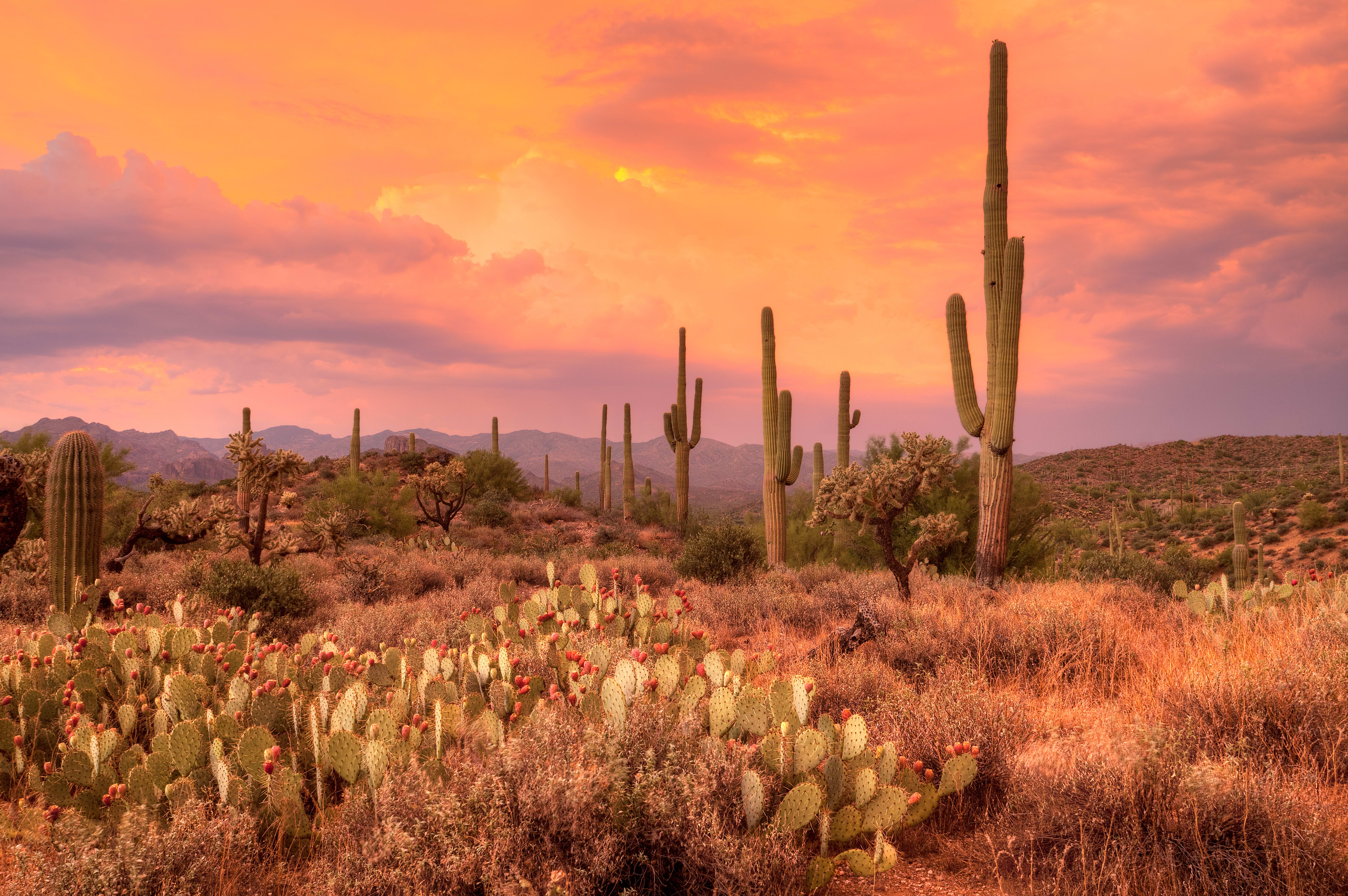 inception-app-prod/Y2NkMjgxYzQtMWMwNy00N2NjLWI2YWYtZTZiMzk5MzY3YWRk/content/2021/06/shutterstock_93272563 %281%29.jpg