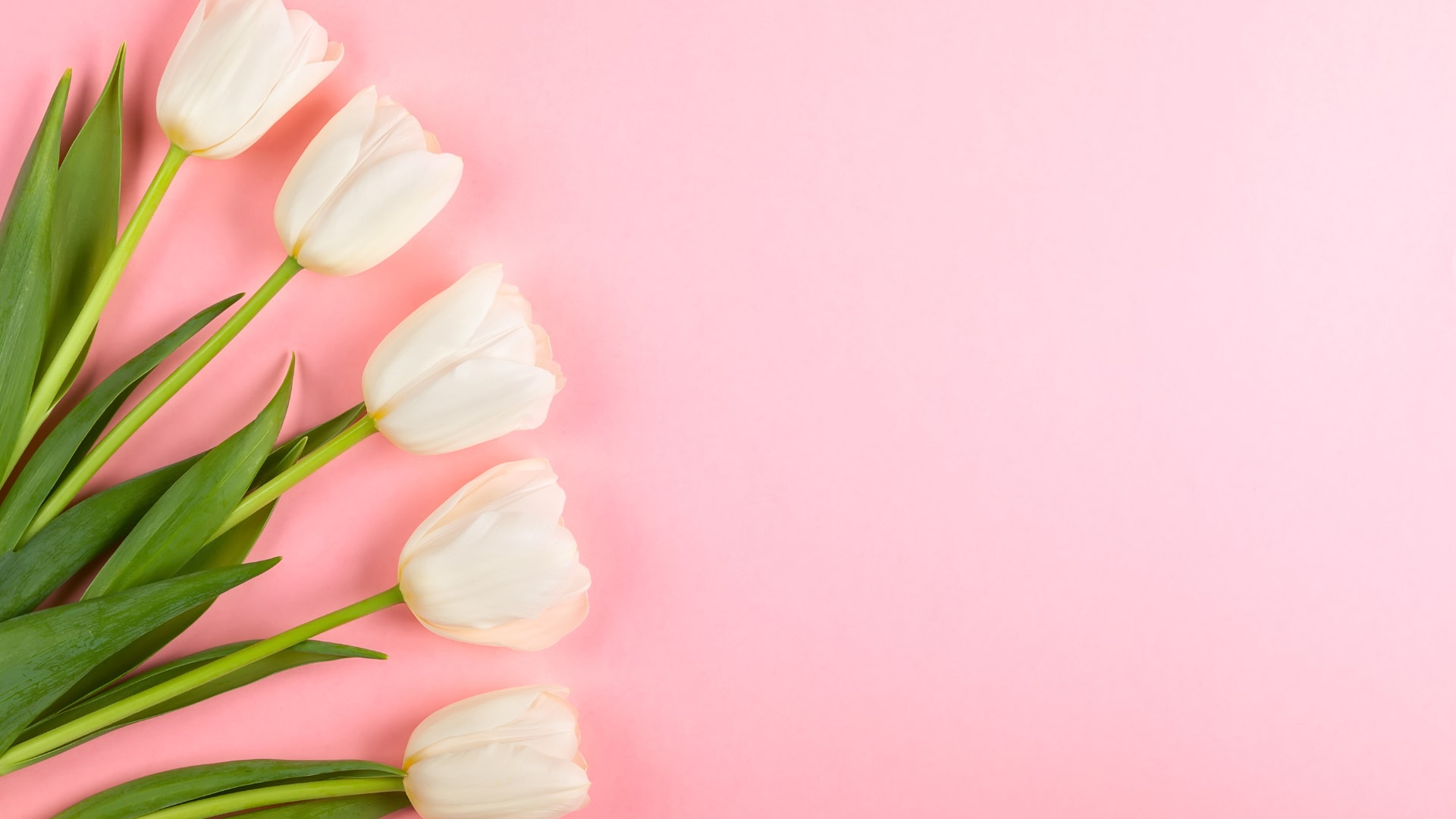 5 TIPS ON HOW TO BRING SPRING INTO YOUR HOME inception-app-prod/Y2NkMjgxYzQtMWMwNy00N2NjLWI2YWYtZTZiMzk5MzY3YWRk/content/2023/03/8274d87a1db3f7ef569ff48a64770eb567f460fa.png