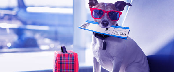 August is the Time for Last-Minute Summer Vacations Is Your Home Vulnerable to Burglary? inception-app-prod/Y2RhODZkZWMtMDRjZi00YmEzLWFiZTMtMTMzZDlkNTdhYzcw/content/2018/08/August 2018 .jpg