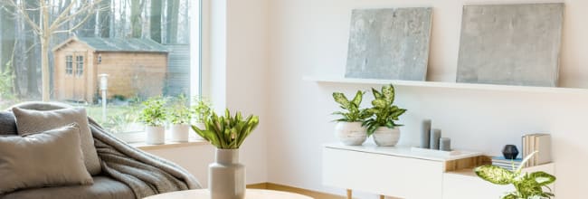 Easy Ways to Incorporate Biophilic Design into Your Home inception-app-prod/Y2RhODZkZWMtMDRjZi00YmEzLWFiZTMtMTMzZDlkNTdhYzcw/content/2023/05/cd31203b5b0d2a7aca09865e36ed5e95cb38ce58.png