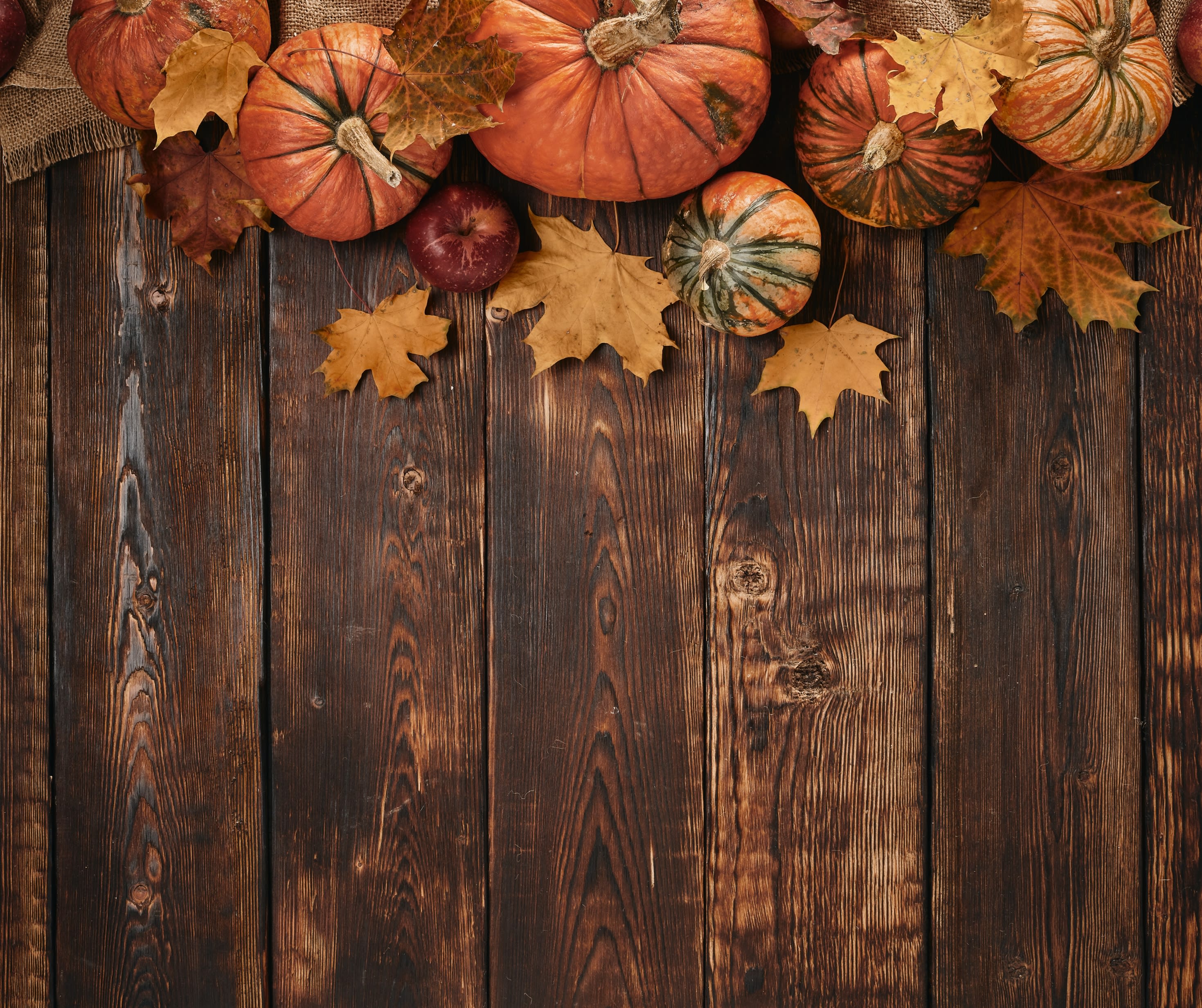 Thanksgiving Home Buying Trends: What to Know Before Year-End inception-app-prod/Y2RkN2E3YmItNjk5Zi00YzM1LTlkMWUtMDUyZmJmZGVhNGIx/content/2024/11/2e9db81a1d702cac9439cda5ff0a05f551e95107.jpg