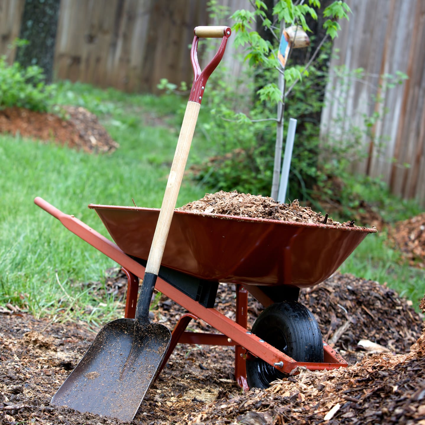 Prepping Your Yard for Fall and Winter in Greater Seattle inception-app-prod/Y2RkN2E3YmItNjk5Zi00YzM1LTlkMWUtMDUyZmJmZGVhNGIx/content/2025/09/97731daf4a9cfa1500e0f98b893a5742d395cb0b.jpg