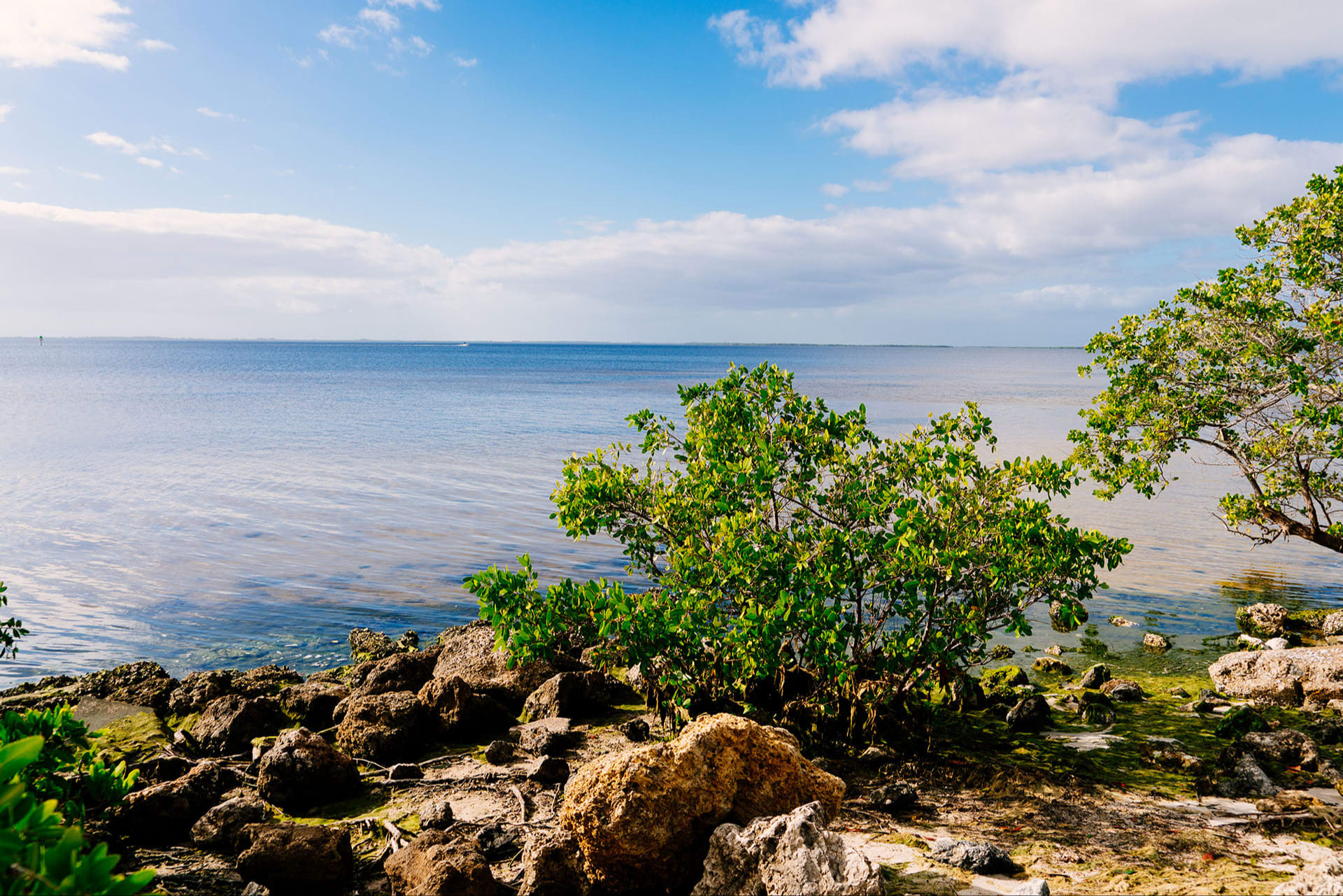 Placida inception-app-prod/YTBhNzA0MWEtNGM4MC00YTE5LWE4NTQtMWQwOTI2MjA5ZTJj/content/2021/01/shutterstock1601837743.jpg