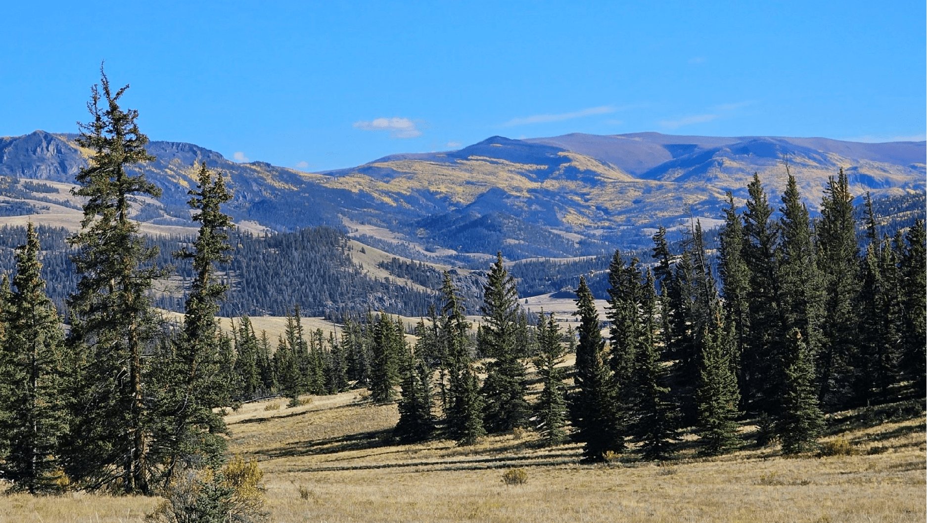 How Much Does It Cost to Live in Southern Colorado? inception-app-prod/YTBmNGUwNTYtYTA3Yi00M2M2LWFiZDQtMTJlNTEyYzc4NmU4/content/2026/07/a1e3bf837e033d175ed905183ca6989f4ac43818.jpg
