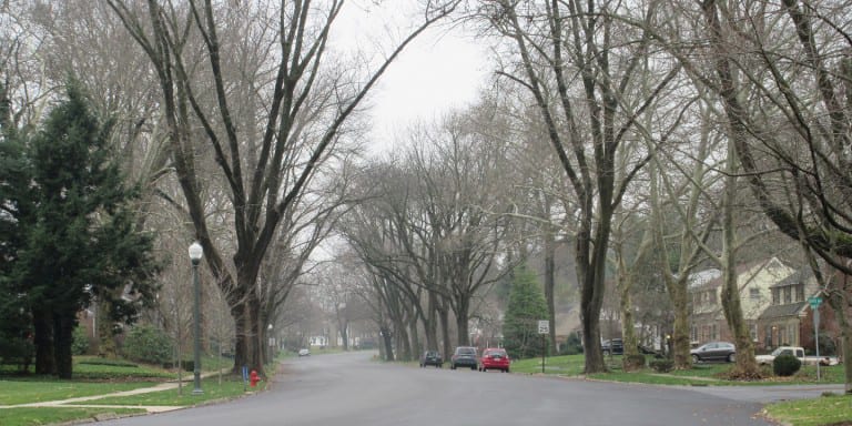 Grandview Heights Grandview Heights Neighborhood