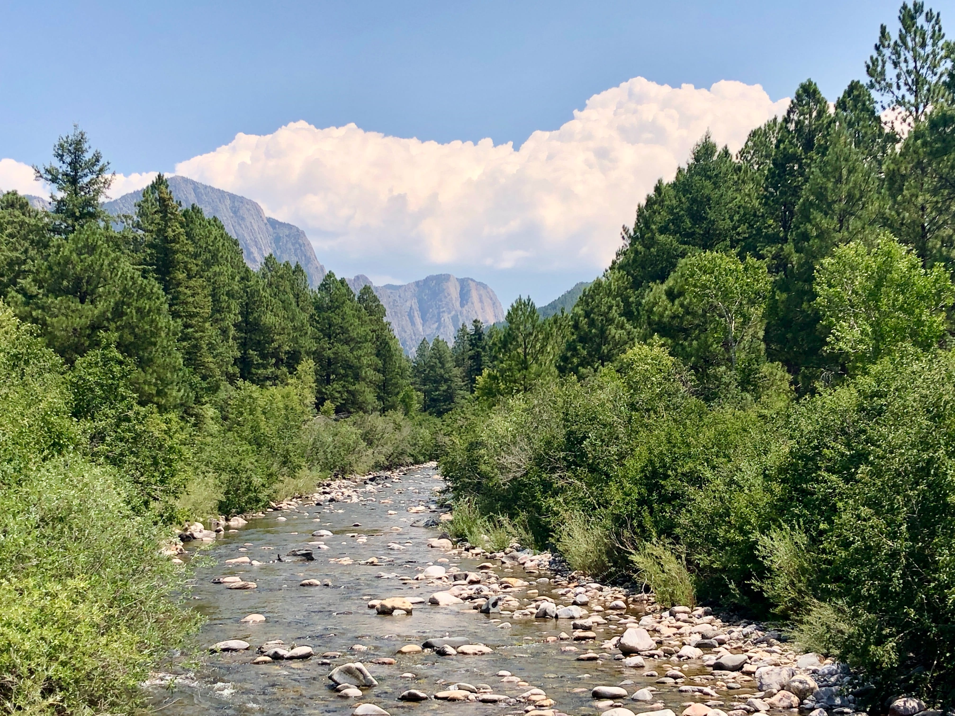 CHAMA REAL ESTATE inception-app-prod/YTFhMjY2NTctZTkwYS00NGRmLThjZTctNDFlNjg3MzNjNTI0/content/2023/07/d419581e0226574529f8a928e88c2e9634c2030f.jpg