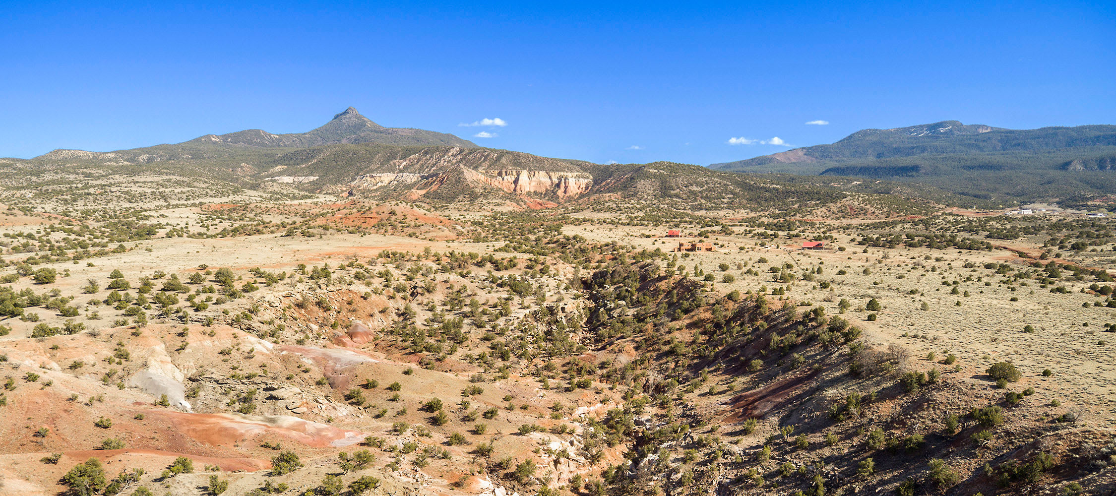 HIGHWAY 96 REAL ESTATE inception-app-prod/YTFhMjY2NTctZTkwYS00NGRmLThjZTctNDFlNjg3MzNjNTI0/content/2023/08/a4450459a62139d9cec5719e5f9662ba22933eda.jpg