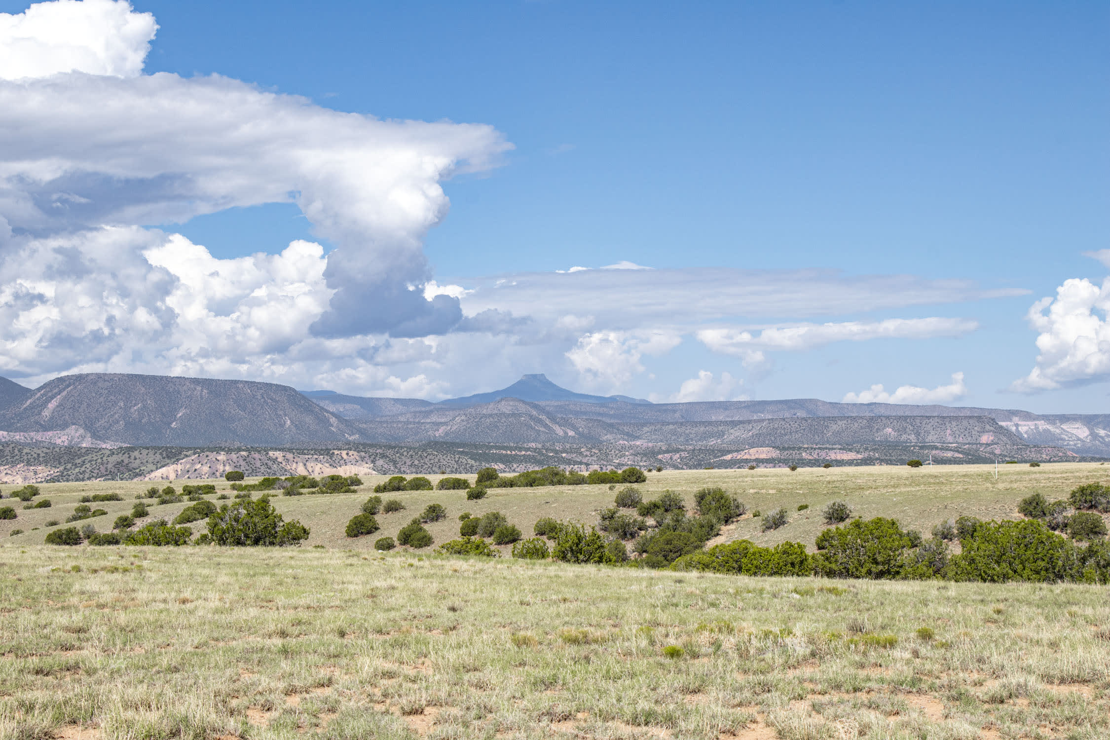 MEDANALES REAL ESTATE inception-app-prod/YTFhMjY2NTctZTkwYS00NGRmLThjZTctNDFlNjg3MzNjNTI0/content/2023/09/7433269dd029e4c4c88f288f9c365e4115048aaf.jpg