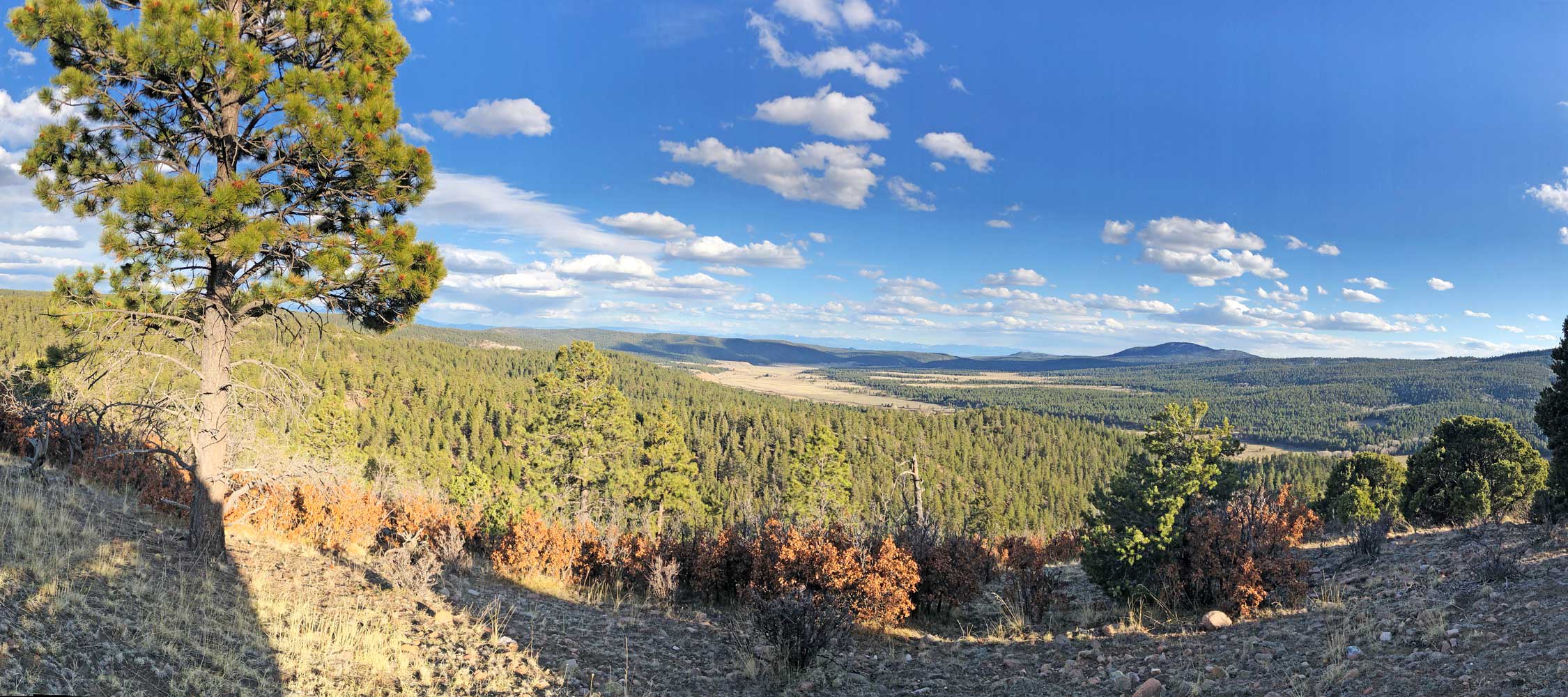 TRES PIEDRAS REAL ESTATE inception-app-prod/YTFhMjY2NTctZTkwYS00NGRmLThjZTctNDFlNjg3MzNjNTI0/content/2023/09/7c0ea11ab59821c736950b6803f7d4bd46897228.jpg