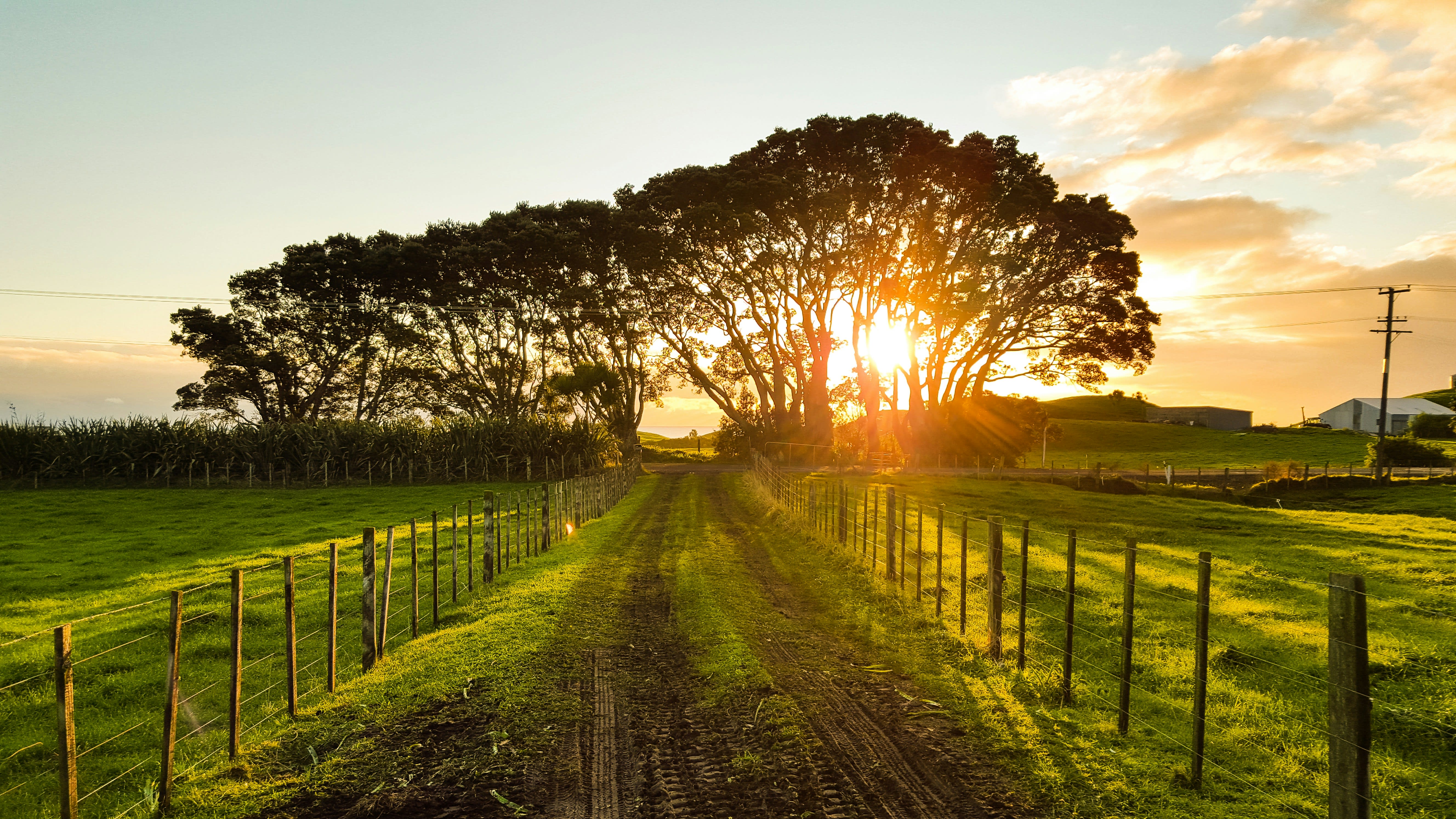 inception-app-prod/YTJkYjdjNWMtMjg3Mi00NTAzLWFiZTktMDhlYTAwNzEyNjI5/content/2026/01/33613059efc0c07514c03d1dea5f017b94d7169f.jpg