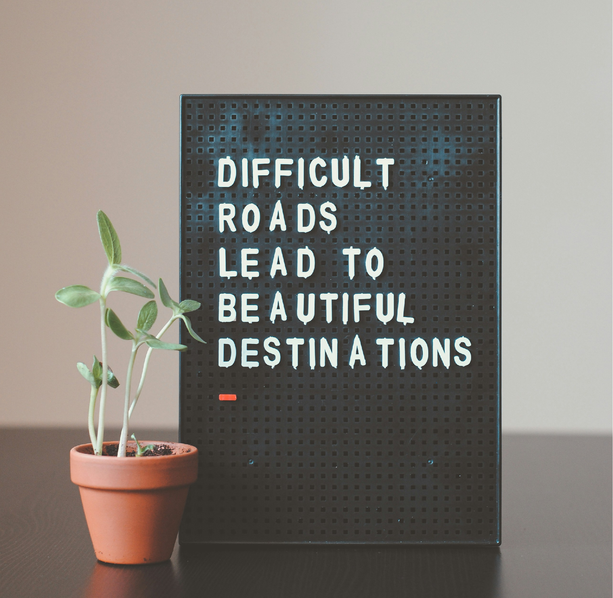 Top 10 Traits of Thriving Real Estate Investors: Cultivate Your Success inception-app-prod/YTUzNjAxNjktODNkMS00MThiLWFlYzEtMGI2YThmYjdiZmVl/content/2024/02/98038a235f6c4c03922a918005d30202911e4e6e.jpg