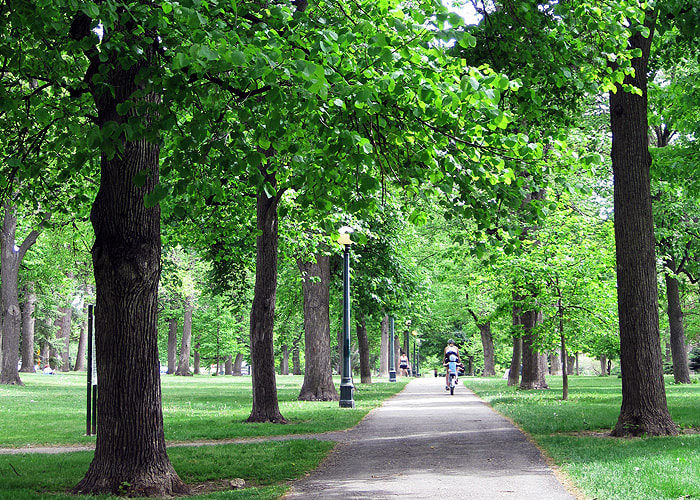 inception-app-prod/YTcwMzgyYjUtNmNiNy00MDRhLWJlYzItMmZjZjgyYzNiYWU1/content/2016/03/cheesman pic3.jpg