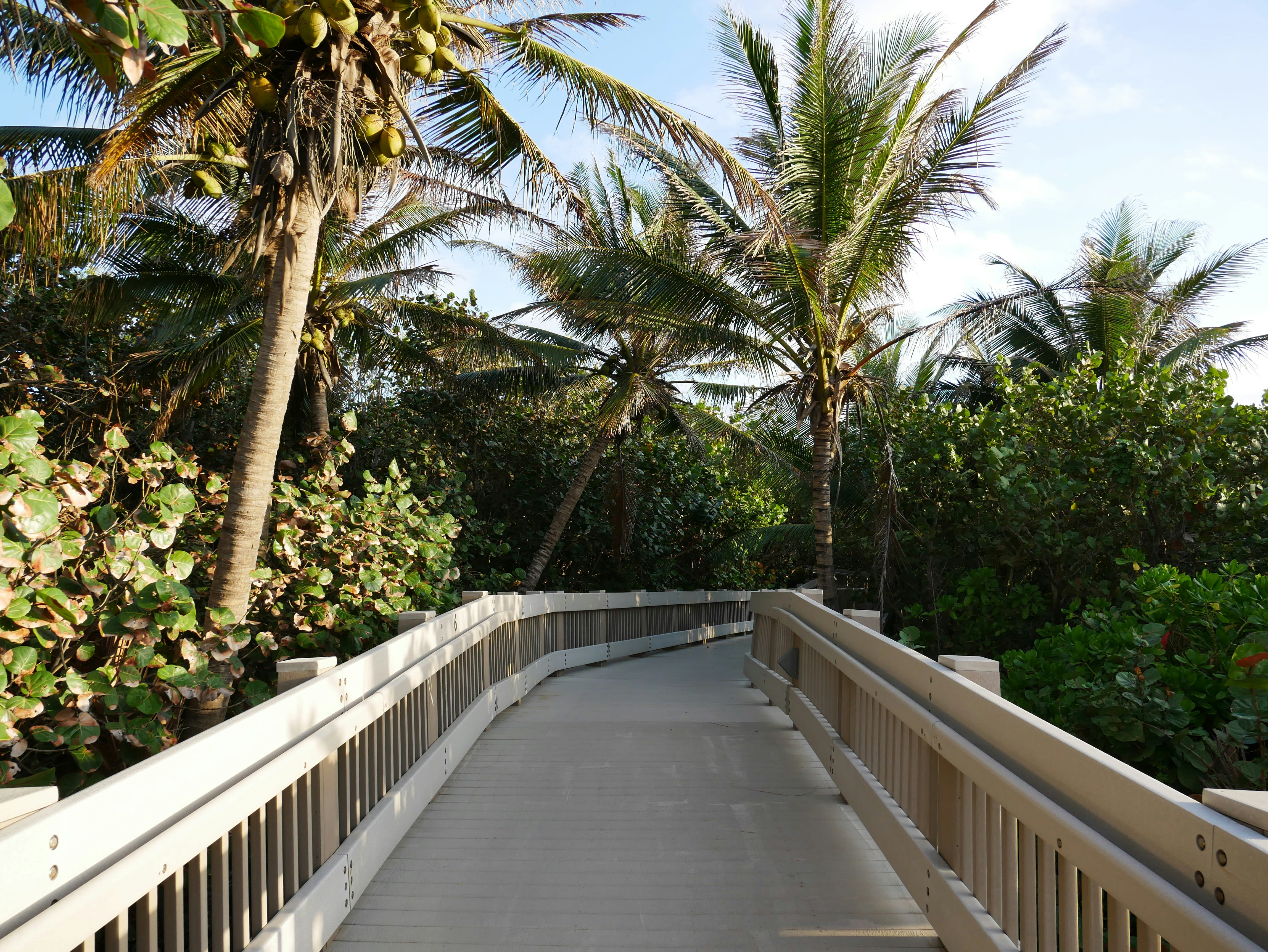 Board Walk to Beach