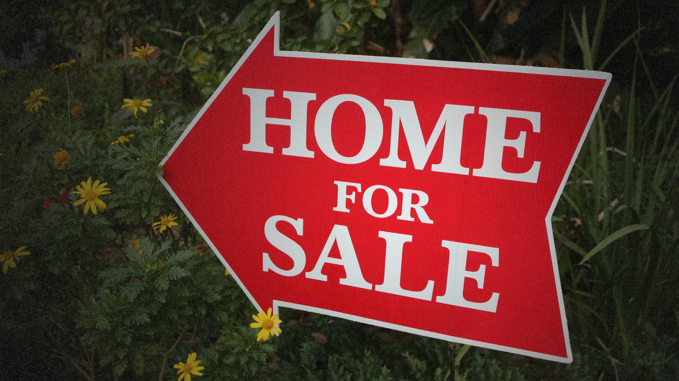 Steps To Selling Your Home inception-app-prod/YWM3YjdiYTUtYjQ3OC00NzUzLWFjYmUtZjliNTQyMzFkMjBk/content/2025/11/6ba16160ecafc55385382fea8f79a731f1a01fc9.png