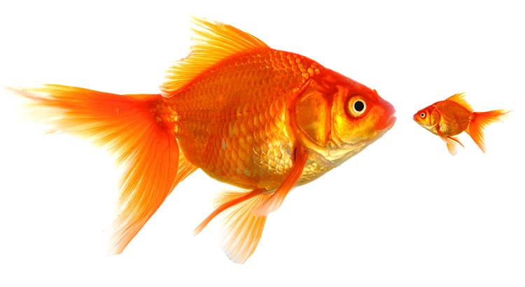 inception-app-prod/YWNhOGE5N2MtMDJiYy00NWI5LWJmZmYtMTAzNTczM2E0MWFj/content/2017/08/unnamed %281%29-2.jpg