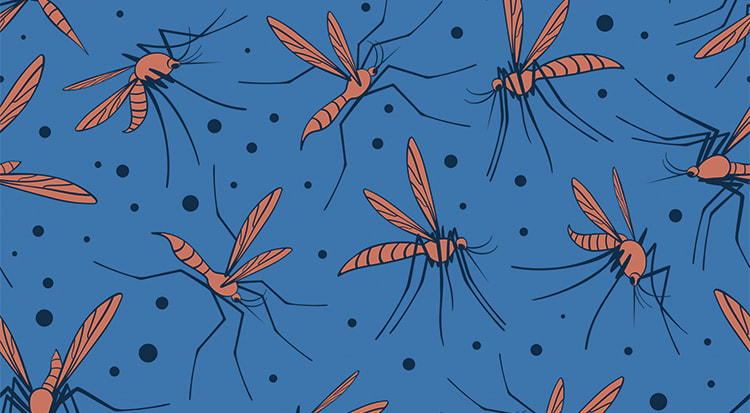 inception-app-prod/YWNhOGE5N2MtMDJiYy00NWI5LWJmZmYtMTAzNTczM2E0MWFj/content/2020/05/mosqitos.jpg