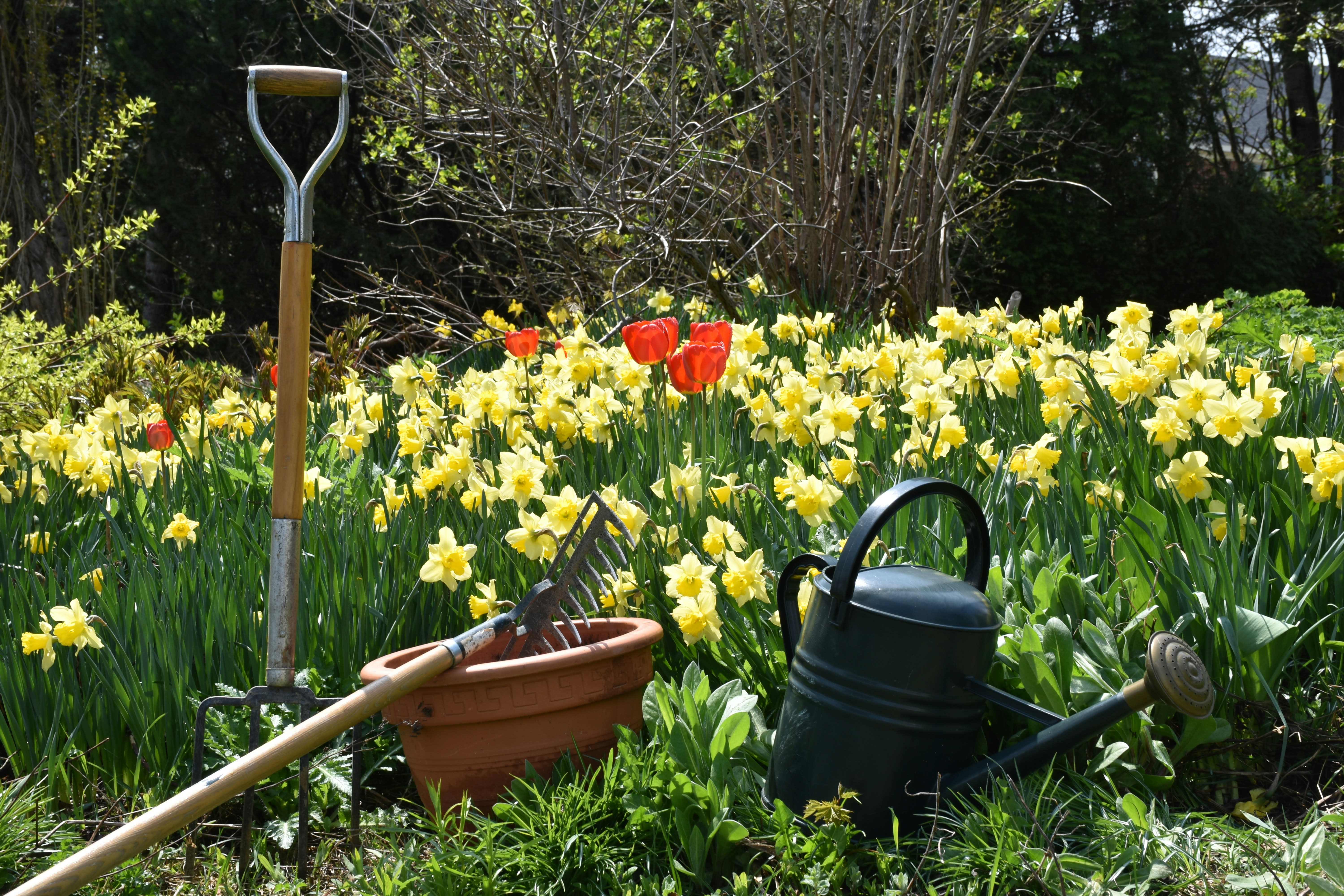 Spring Home Maintenance Checklist for Horry County Homeowners inception-app-prod/YWU5YmIxYTAtZjkzZS00NzllLWFjNWEtZTcwYzZlZjIyOTc1/content/2026/09/e0551a47c854266fa1281dd60489c353bbefe3ee.jpg